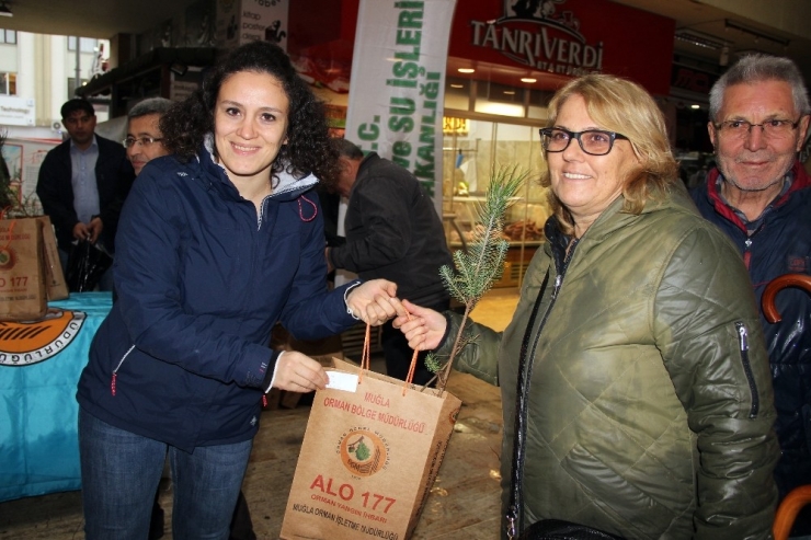 Muğla Ve Aydın’da 20 Bin Fidan Dağıtıldı