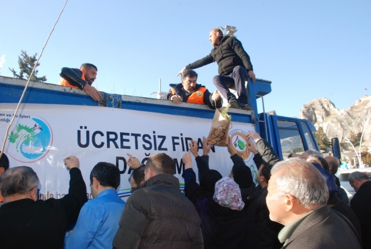 ’Yılbaşında Çam Kesme Fidan Dik’ Kampanyasına Yoğun İlgi