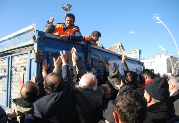 ’Yılbaşında Çam Kesme Fidan Dik’ Kampanyasına Yoğun İlgi