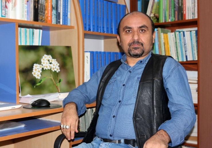 Cudi Dağı’nda Yeni Odunsu Takson Keşfedildi