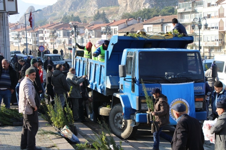 Sanki Ağaç Bayramı