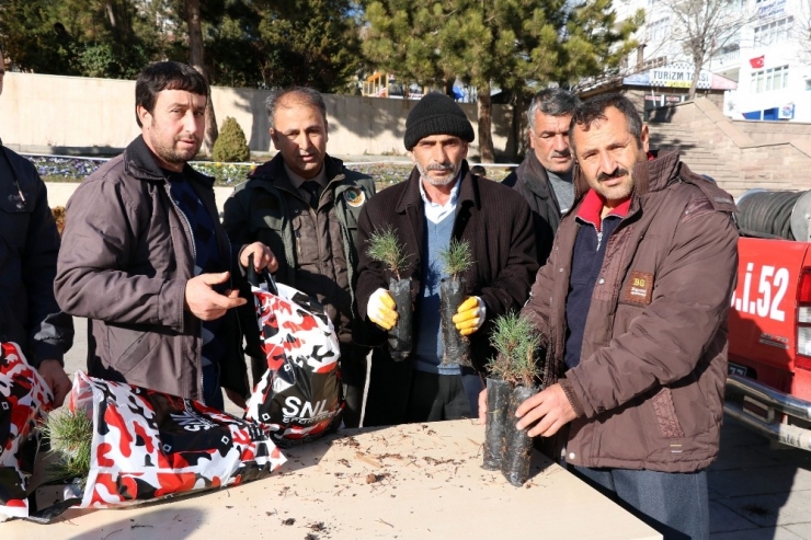 Yozgat’ta Yılbaşı Öncesi Bin Fidan Dağıtıldı