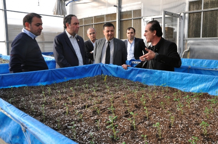 Tümer: “Yerli Tohum Desteklenmiyor”