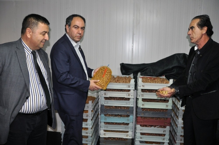 Tümer: “Yerli Tohum Desteklenmiyor”