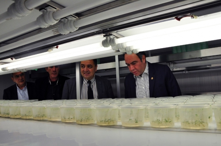 Tümer: “Yerli Tohum Desteklenmiyor”