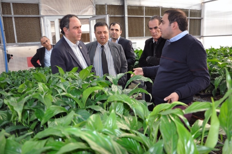 Tümer: “Yerli Tohum Desteklenmiyor”