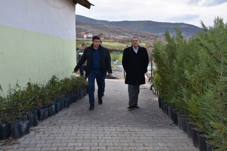 Bigadiç Çiçeklerle Donanacak