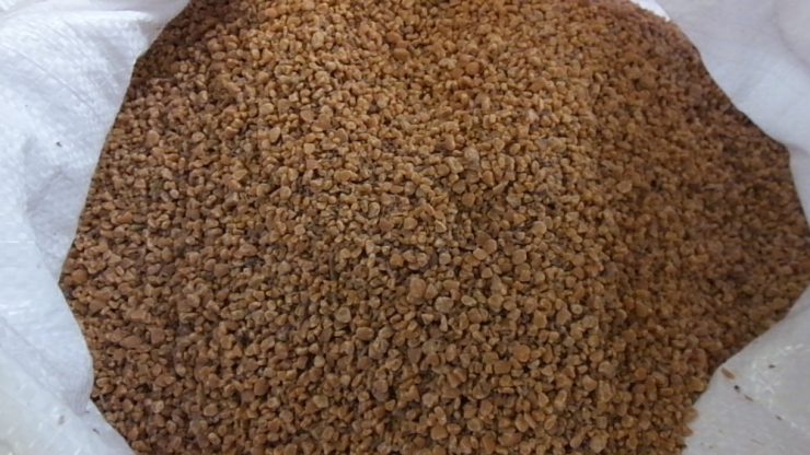 Zeytin Çekirdeği Çevre Dostu Yakacak Oldu