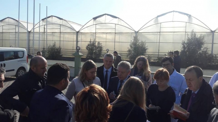 Rus Heyet Salihli’de Domates Seralarını İnceledi