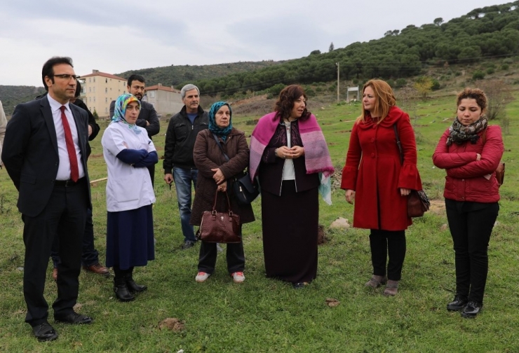 Körfez’de Herkesin Bir Fidanı Olacak