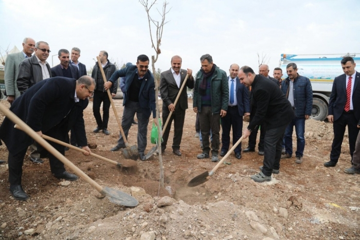 Çiftçi Muhtarlarla Birlikte Ağaç Dikti