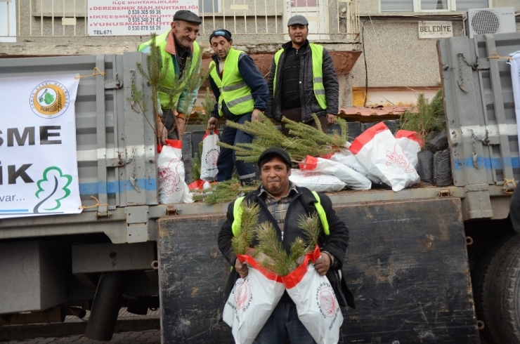 Seyitgazi’de Fidan Dağıtımı Yapıldı