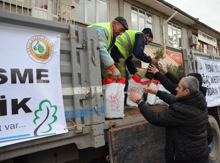 Seyitgazi’de Fidan Dağıtımı Yapıldı