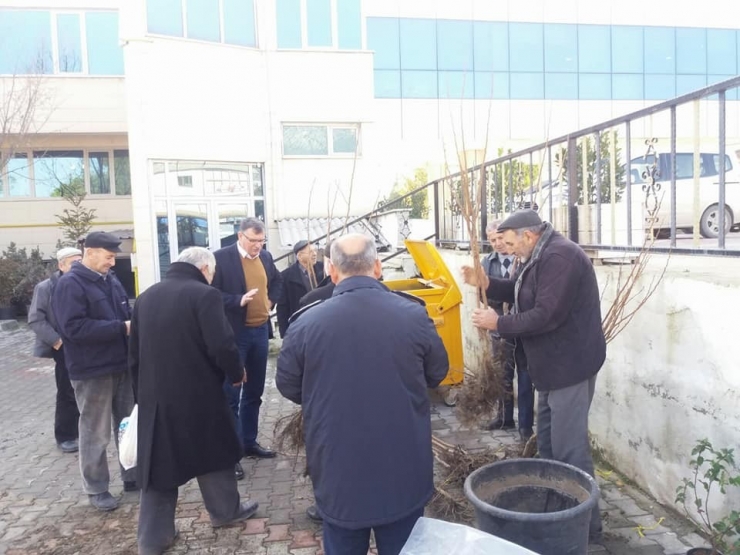 Vezirhan Belediyesi Tarafından Ücretsiz Hurma Dağıtıldı