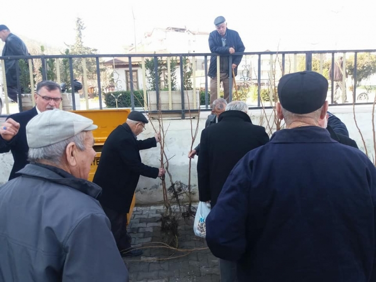 Vezirhan Belediyesi Tarafından Ücretsiz Hurma Dağıtıldı