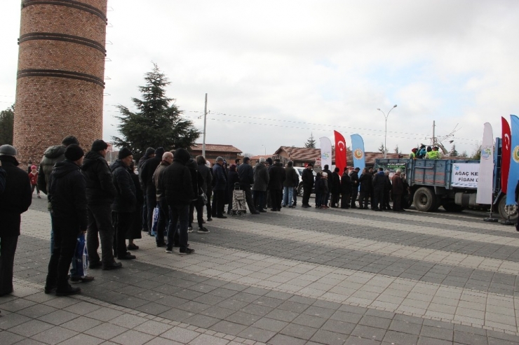 Ak Parti Genel Başkan Yardımcısı Karacan Fidan Dağıttı