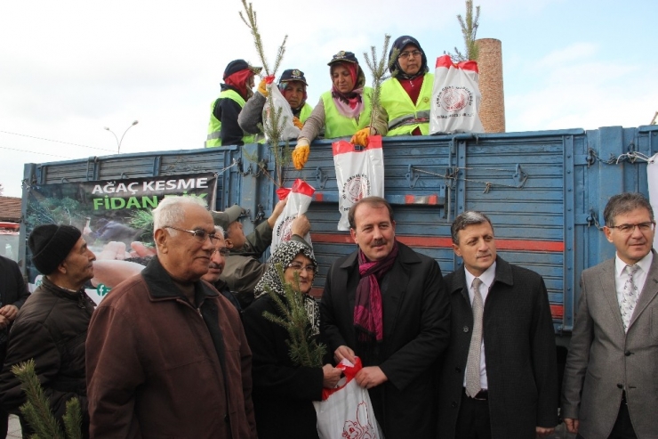Ak Parti Genel Başkan Yardımcısı Karacan Fidan Dağıttı