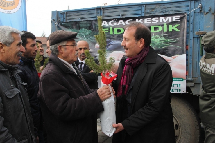 Ak Parti Genel Başkan Yardımcısı Karacan Fidan Dağıttı