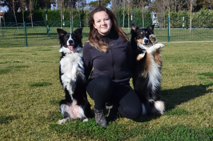 Bir Köpek Aldı Hayatı Değişti