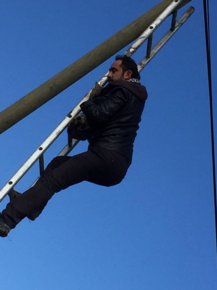 Yaramaz Kedi Telefon Direğinde Mahsur Kaldı