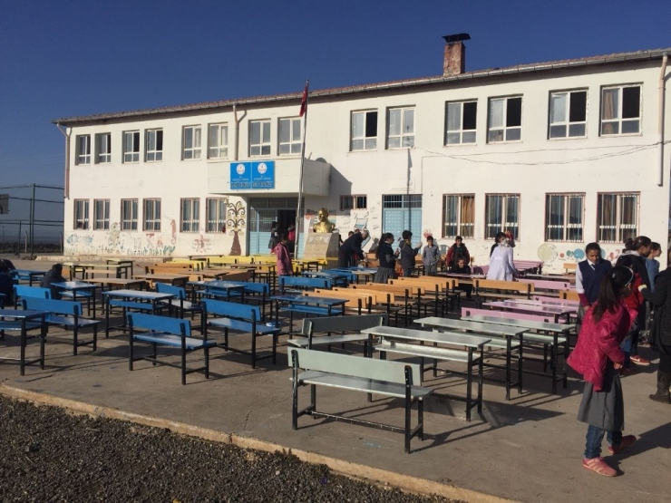 Öğretmenler İle Öğrencileri, Masa Ve Sıraları Boyadı