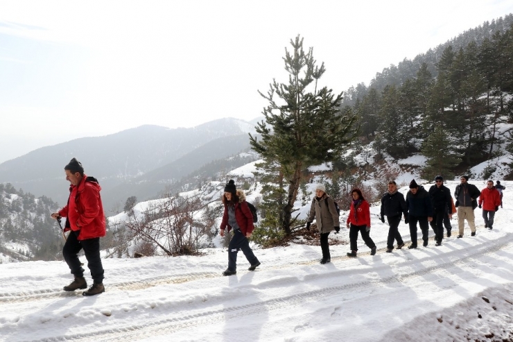 Doğa Yürüyüşleriyle Huzur Buluyorlar
