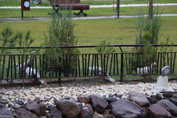 Manisa’da Park İçindeki Derede Oluşan Köpükler Tedirgin Etti