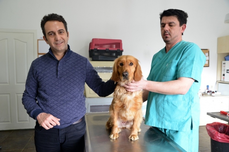 Doğal Yaşam Merkezi Başarılı Bir Yıl Geçirdi