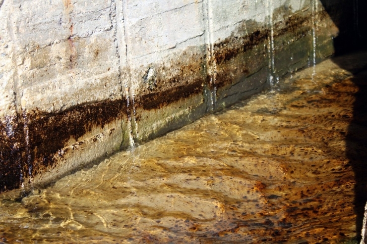 Mavi Bayraklı Plajda Petrol Atığı Tepkisi