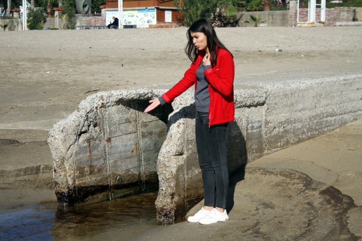 Mavi Bayraklı Plajda Petrol Atığı Tepkisi