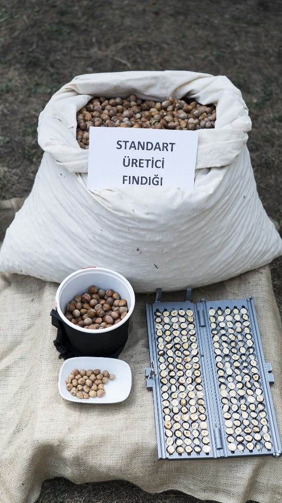 Arısoy: “Model Bahçelerde Randıman Artıyor, Gizli Çürük Azalıyor”