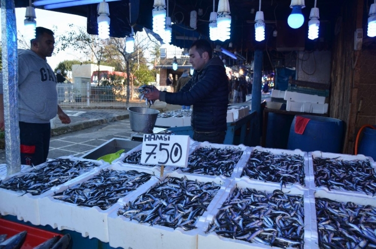 Gürcistan’dan Geldi, Fiyatı 7,5 Tl’ye Düştü