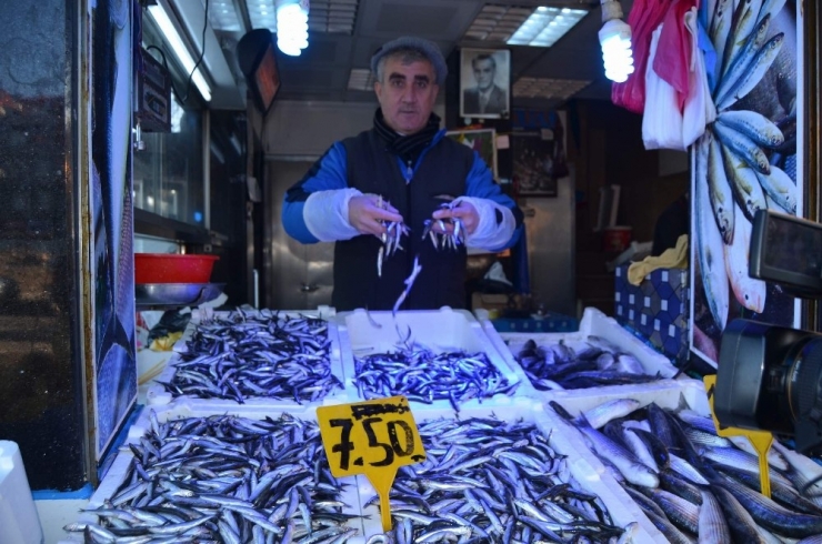 Gürcistan’dan Geldi, Fiyatı 7,5 Tl’ye Düştü