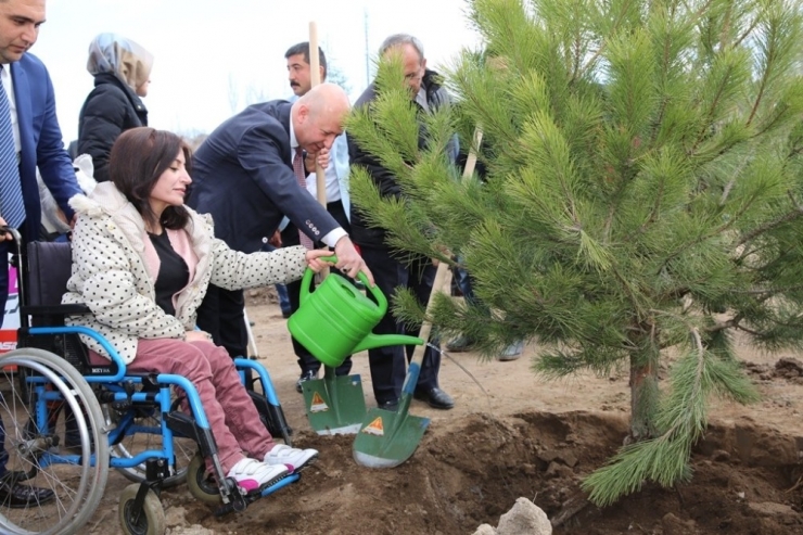 Kocasinan Belediyesi Yeşil Alanda Rekor Kırdı