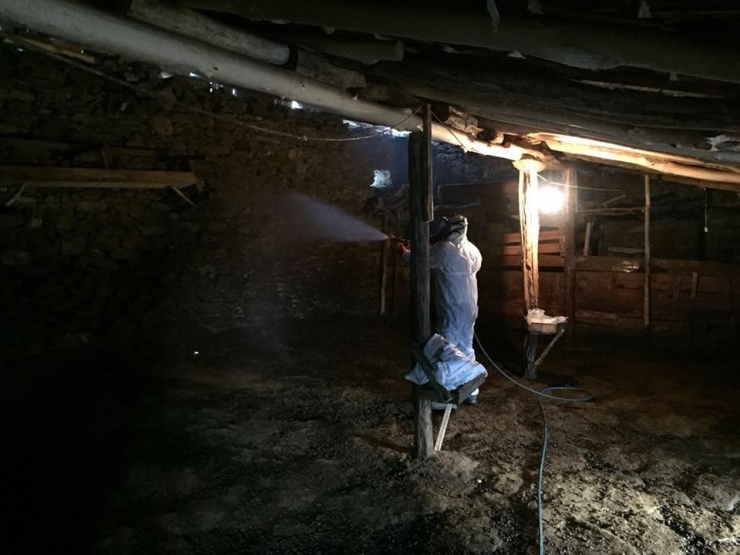 Küçükbaş Hayvanlarda Enfeksiyona Karşı İlaçlama