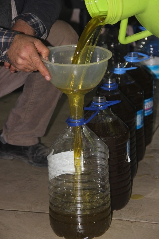 Manisa Zmo’dan Zeytinyağı Açıklaması: