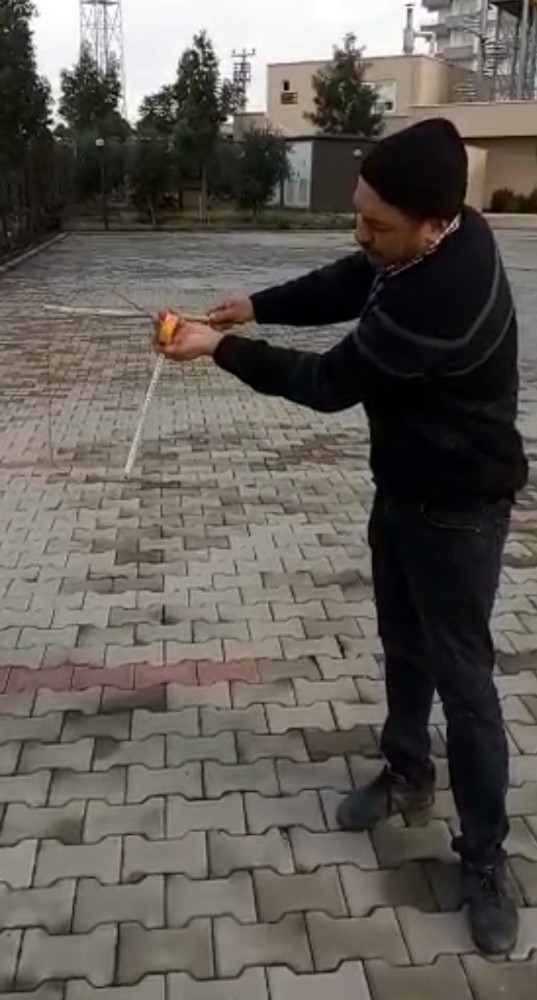 Dikiş İpliğini Andıran Canlı Görenleri Şaşkına Çevirdi