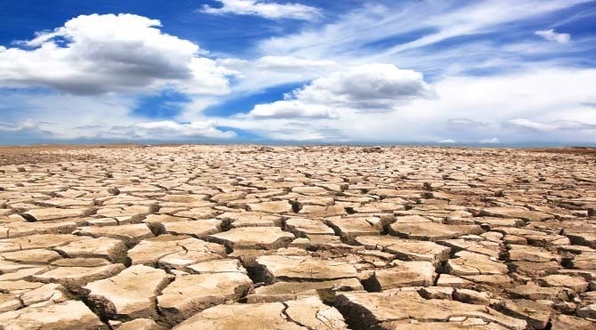 Tema Vakfı Edirne İl Temsilcisi Şirin Çoğal: