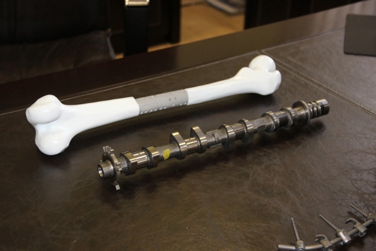 Kam Milinden Tümör Protezine