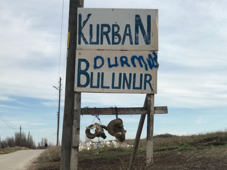 Tabelaya Asılan Koç Başları Şaşırtıyor