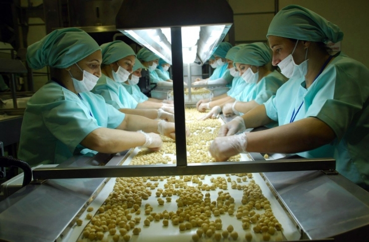 Düzce’den 2017 Yılında 22 Bin 583 Ton İç Fındık İhracatı Gerçekleşti