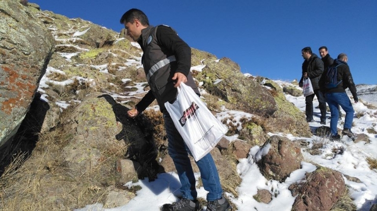 Yaban Hayvanları Yemlendi