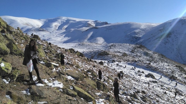 Yaban Hayvanları Yemlendi