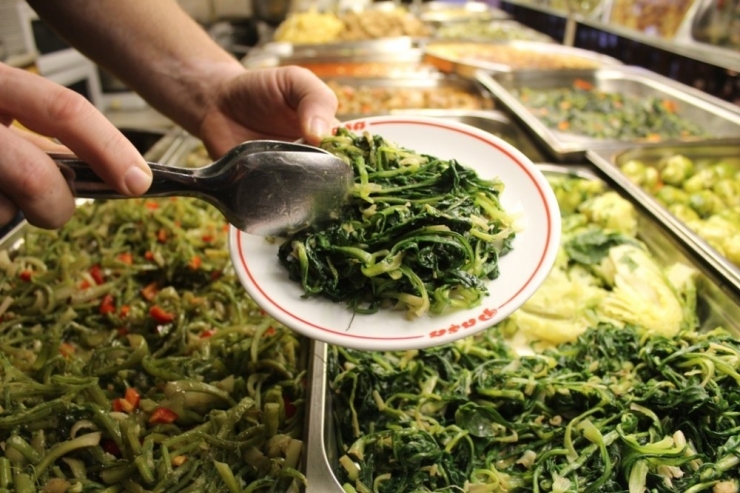 Genç Nesle Faast Food Yiyecekler Yerine Ot Yedirmeyi Hedefliyorlar