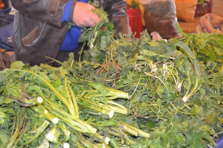 Genç Nesle Faast Food Yiyecekler Yerine Ot Yedirmeyi Hedefliyorlar