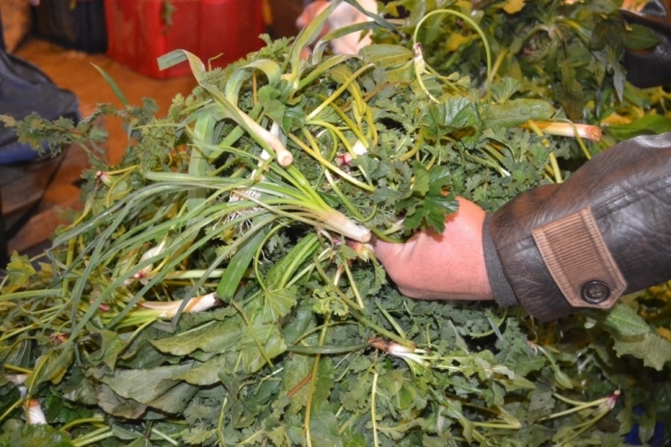 Genç Nesle Faast Food Yiyecekler Yerine Ot Yedirmeyi Hedefliyorlar