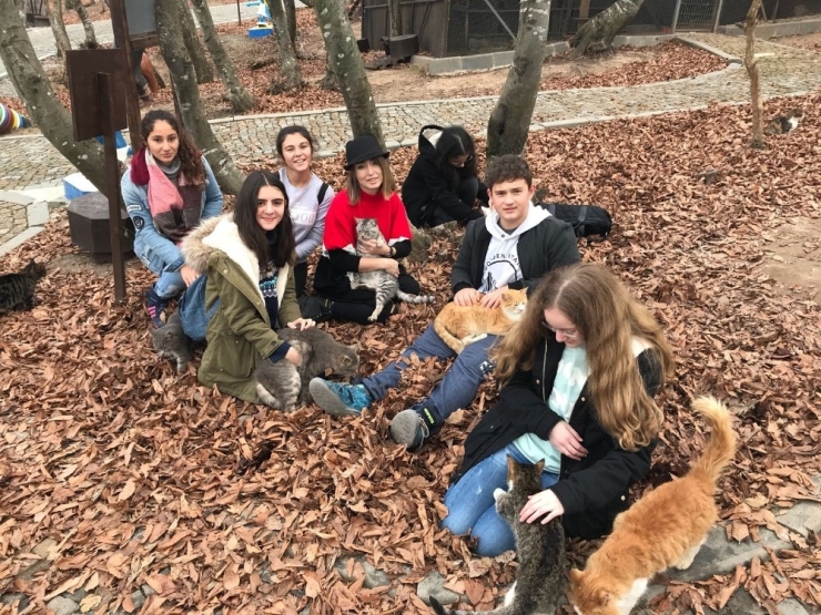 Öğrenciler Kedi Kasabası’nı Gezdi