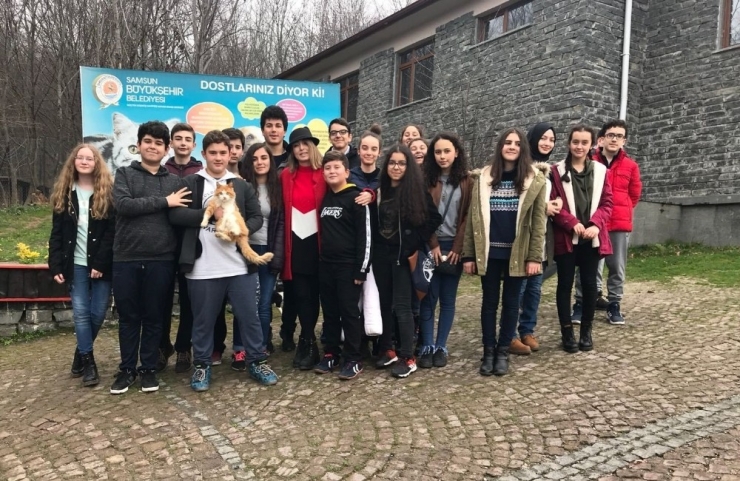 Öğrenciler Kedi Kasabası’nı Gezdi