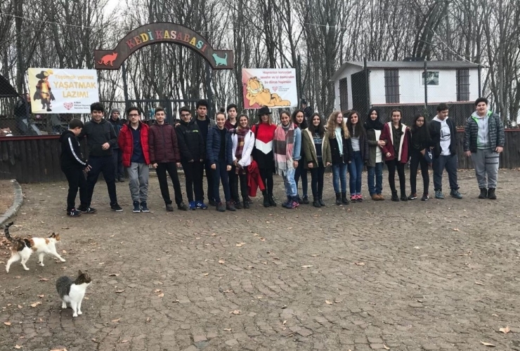 Öğrenciler Kedi Kasabası’nı Gezdi