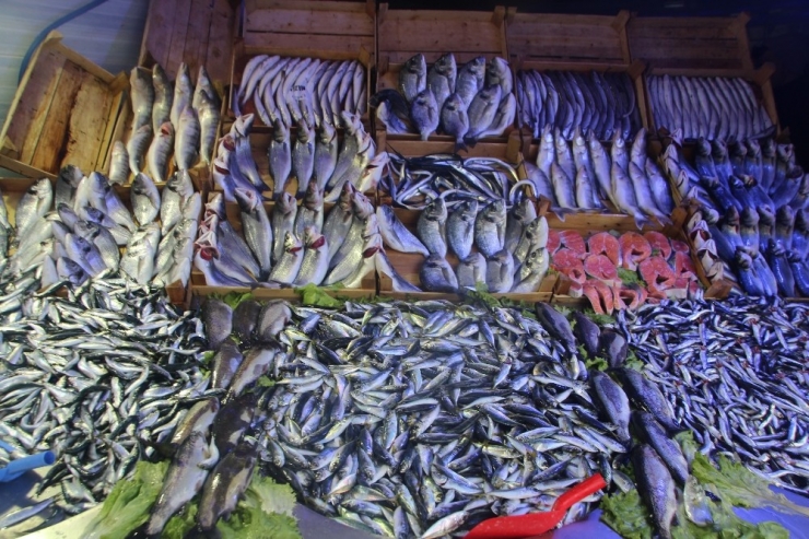 Balık Az, Fiyatı Çok